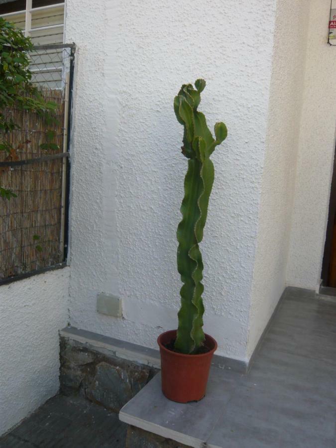 I Con Terraza En La Playa Holiday home *